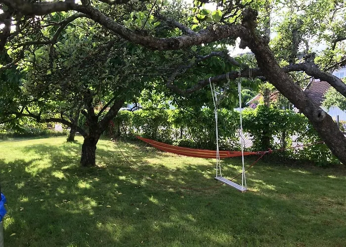 Koselig Sentralt I Daire *